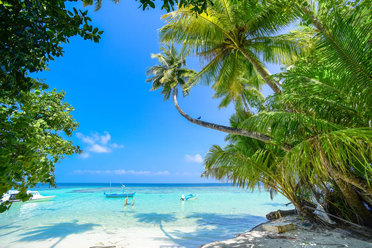 Hôtel tout compris ou guesthouse à l'île Maurice : le vrai comparatif