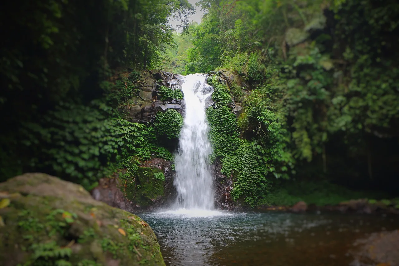 La cascata singola di Gitgit che cade in una vasca verde circondata dalla giungla, Bali del nord