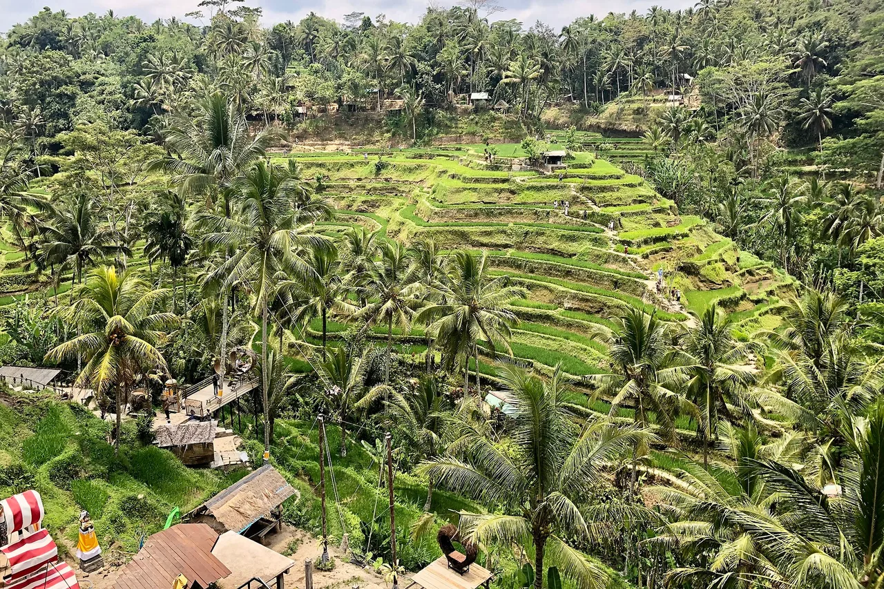 Best time to visit Bali: weather and seasons month by month