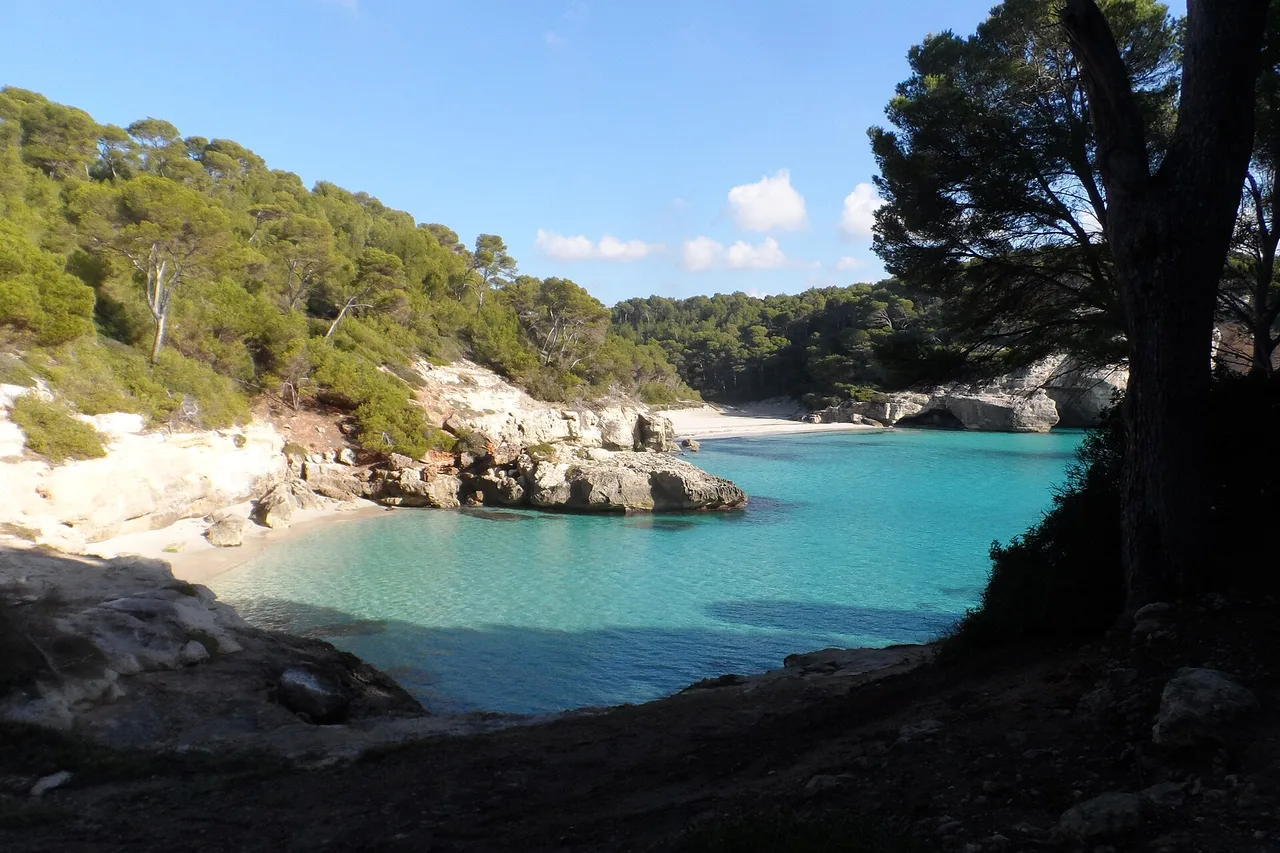 Cala Mitjana en hiver, entièrement déserte : eau turquoise transparente, sable clair, falaises calcaires basses et pinède tout autour, vue depuis le sentier resté dans l’ombre.