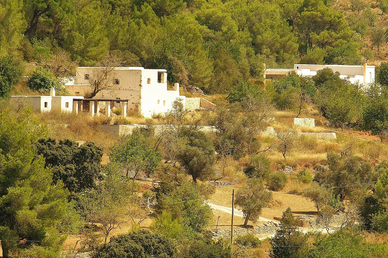 Die Landschaft im Norden Ibizas: ein traditionelles weißes Bauernhaus mit Flachdächern, umgeben von bewirtschafteten Terrassen, Mandelbäumen und Pinien auf trockenen Hügeln.