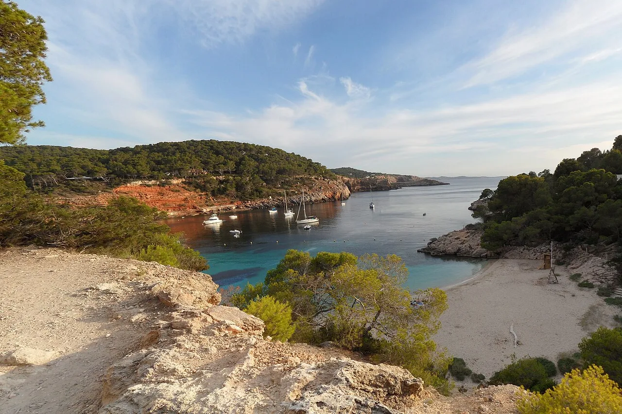 Cala Saladeta von den Felsen oben gesehen: eine schmale, von Pinien gesäumte Bucht, sehr klares türkisfarbenes Wasser mit einigen ankernden Booten, gegenüber die rote Steilküste und am Horizont das offene Meer.