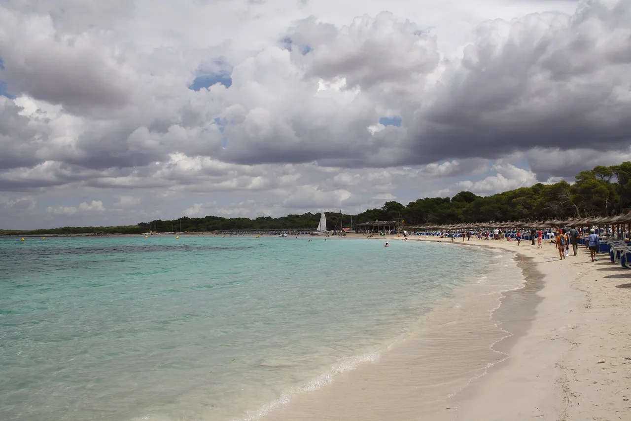 Es Trenc beach under a sky loaded with heavy cloud: very clear turquoise water, white sand, a row of straw parasols and the pine wood behind.