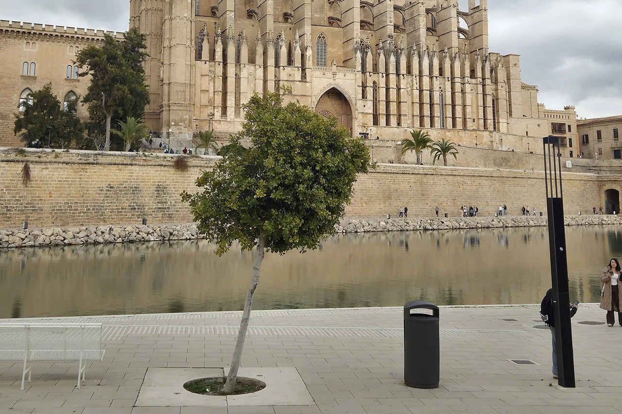 Palma cathedral seen from the Parc de la Mar under an overcast sky, its reflection in the pool and the walkway at the foot of the walls: this entire district lies inside the low emission zone.