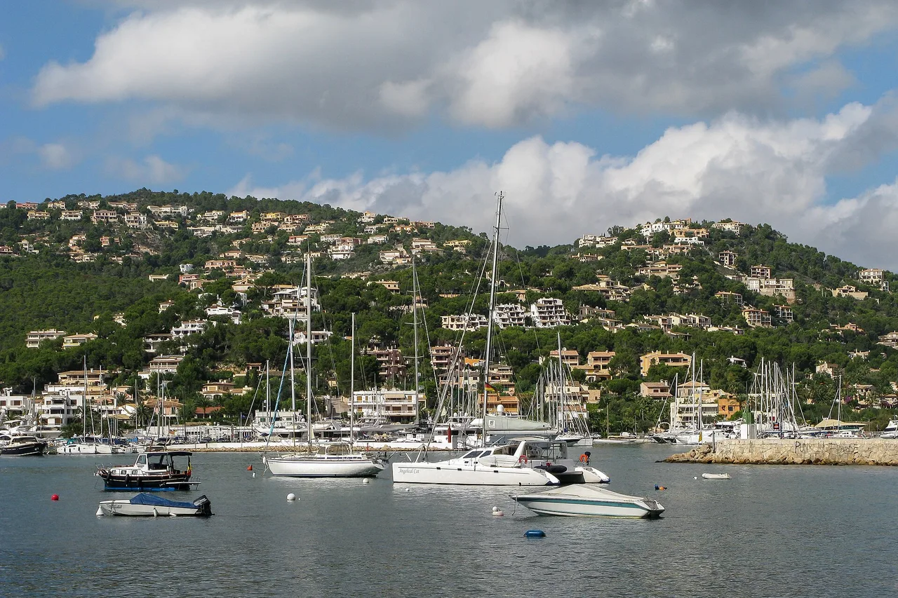 Le Port d’Andratx : des voiliers au mouillage dans une rade abritée et, sur les pentes tout autour, des villas blanches disséminées dans la pinède.