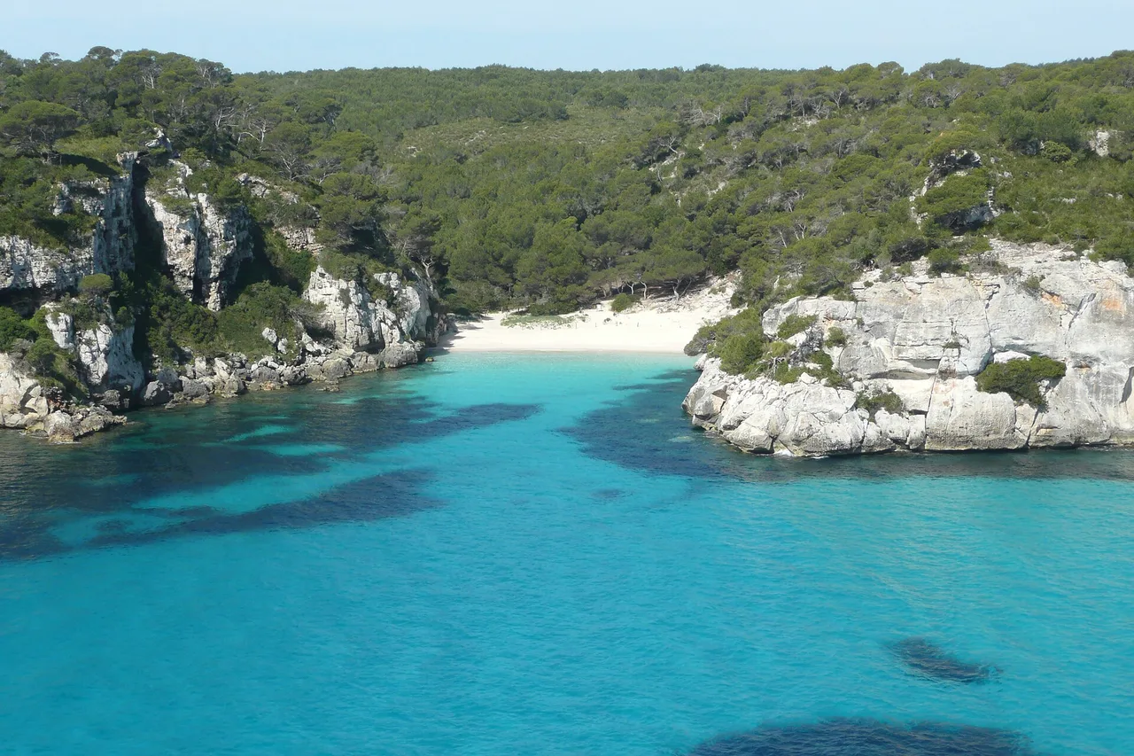 Vue plongeante sur la crique de Macarelleta à Minorque : falaises calcaires blanches, pinède épaisse, eau turquoise et un court croissant de sable