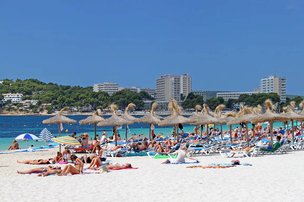 Plage de Magaluf avec parasols de paille et transats, hôtels sur la colline boisée en arrière-plan, Majorque