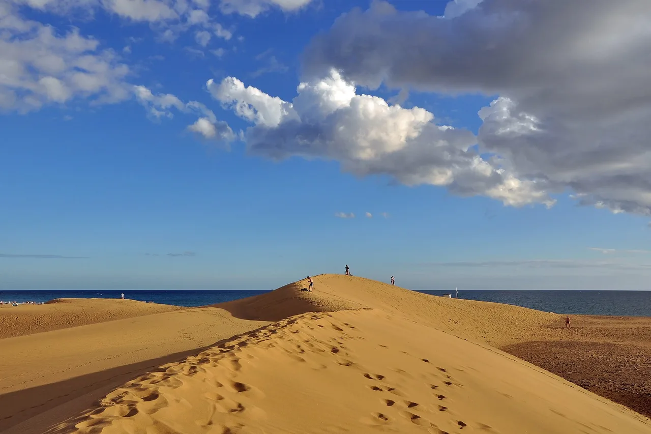 Les dunes de sable clair de Maspalomas, au sud de Gran Canaria, sous un ciel dégagé