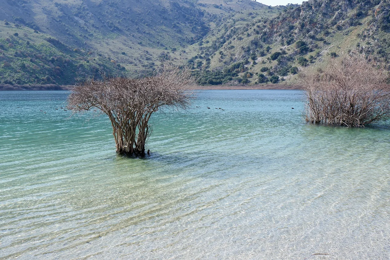 Le lac de Kournas, en Crète de l’Ouest : une eau turquoise très claire, des arbres dénudés les pieds dans l’eau au bord de la rive, et une montagne verte et rocheuse derrière.