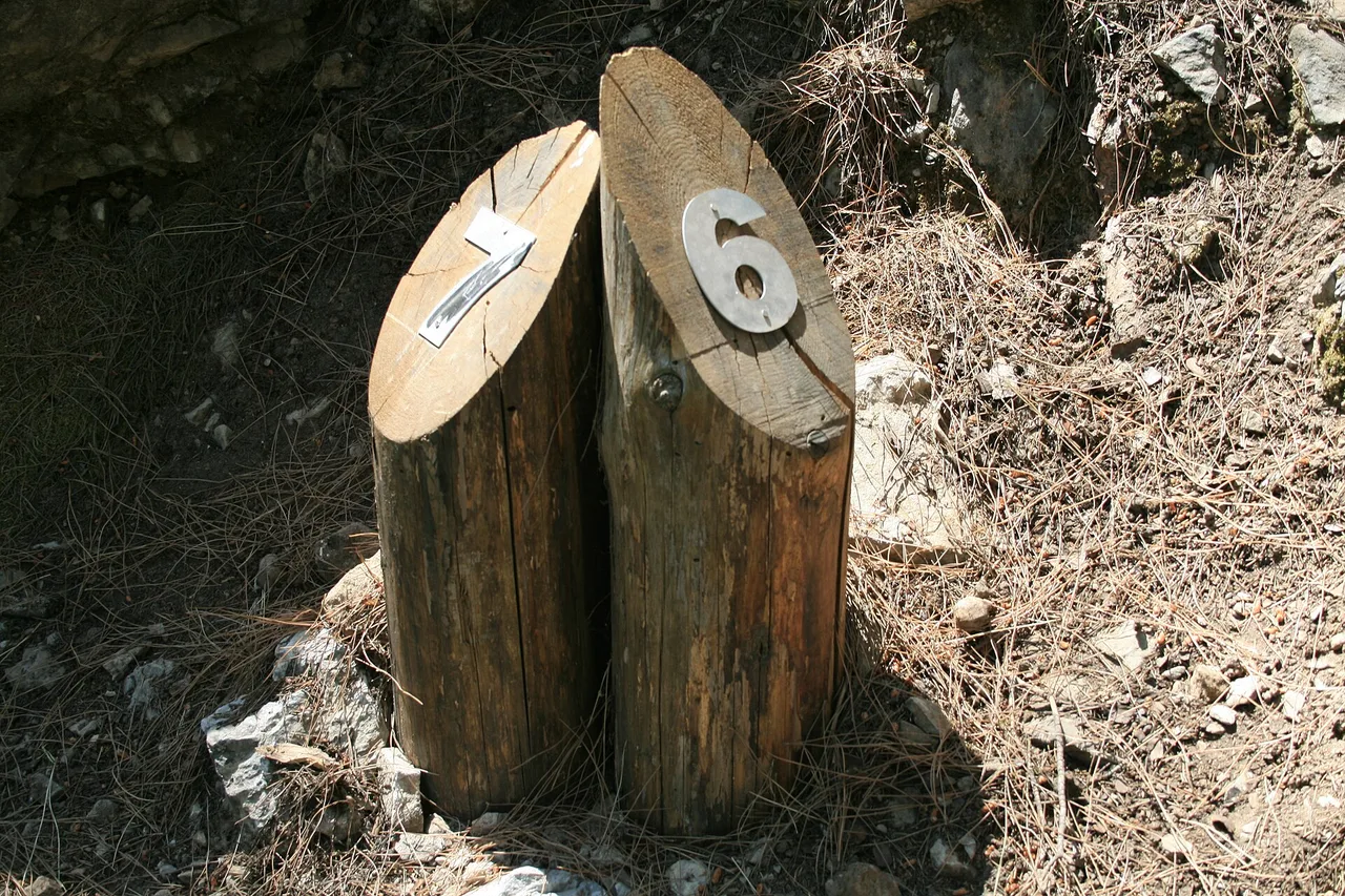 Deux poteaux de bois numérotés 6 et 7 au bord du sentier des gorges de Samaria, entre des aiguilles de pin sèches et des pierres.