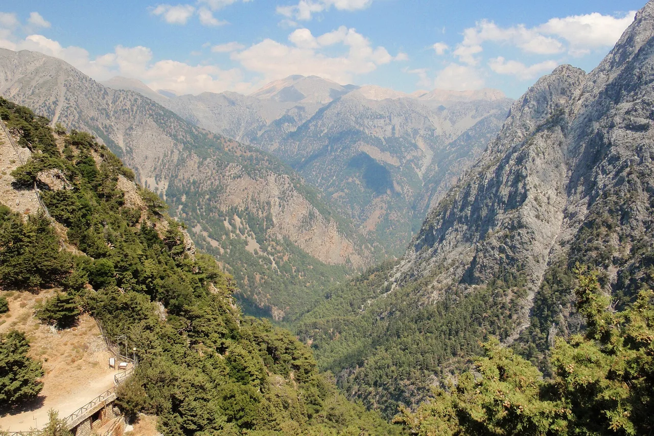 Vue plongeante dans les gorges de Samaria, en Crète : une vallée profonde et boisée entre des versants raides et nus, qui descend jusqu’à l’horizon.