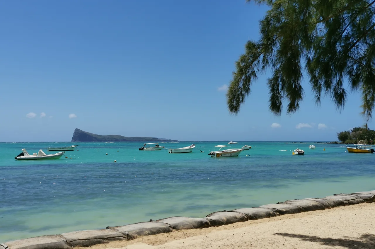 Spiaggia del nord di Mauritius con casuarine, laguna calma e sabbia chiara