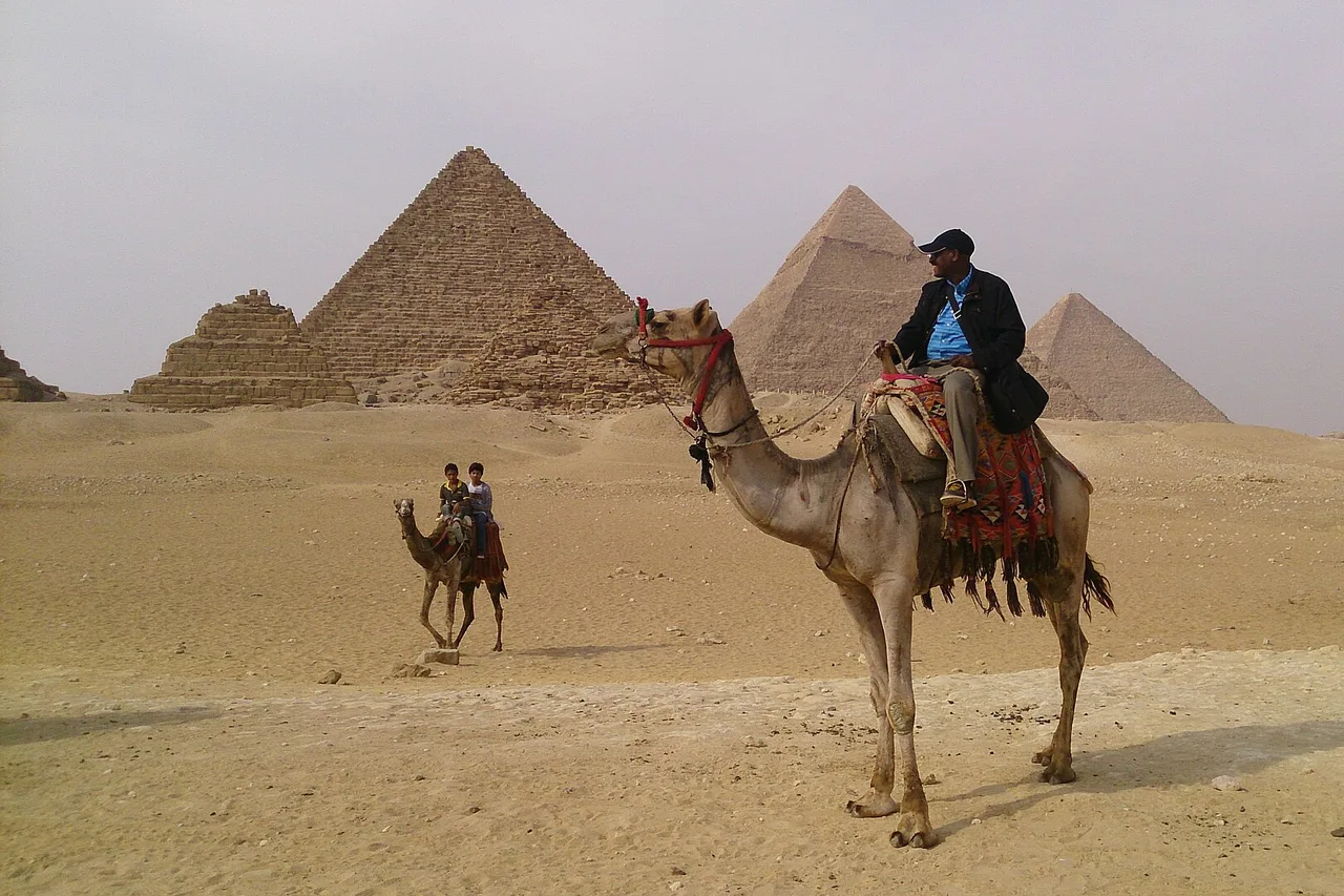 Un homme à dos de chameau harnaché traverse le sable, avec derrière lui les pyramides de Gizeh sous un ciel voilé.