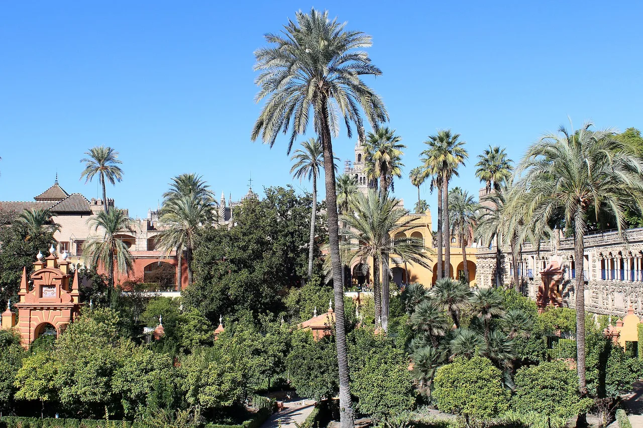 The gardens of the Alcázar of Seville, palms and dense planting, the Giralda behind