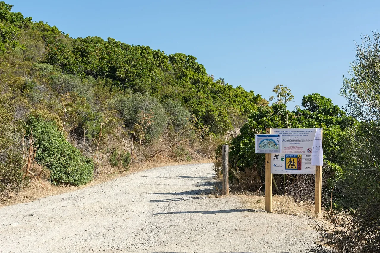 Una pista di ghiaia chiara attraversa la macchia fitta dell’Agriate, un cartello informativo si erge sulla destra