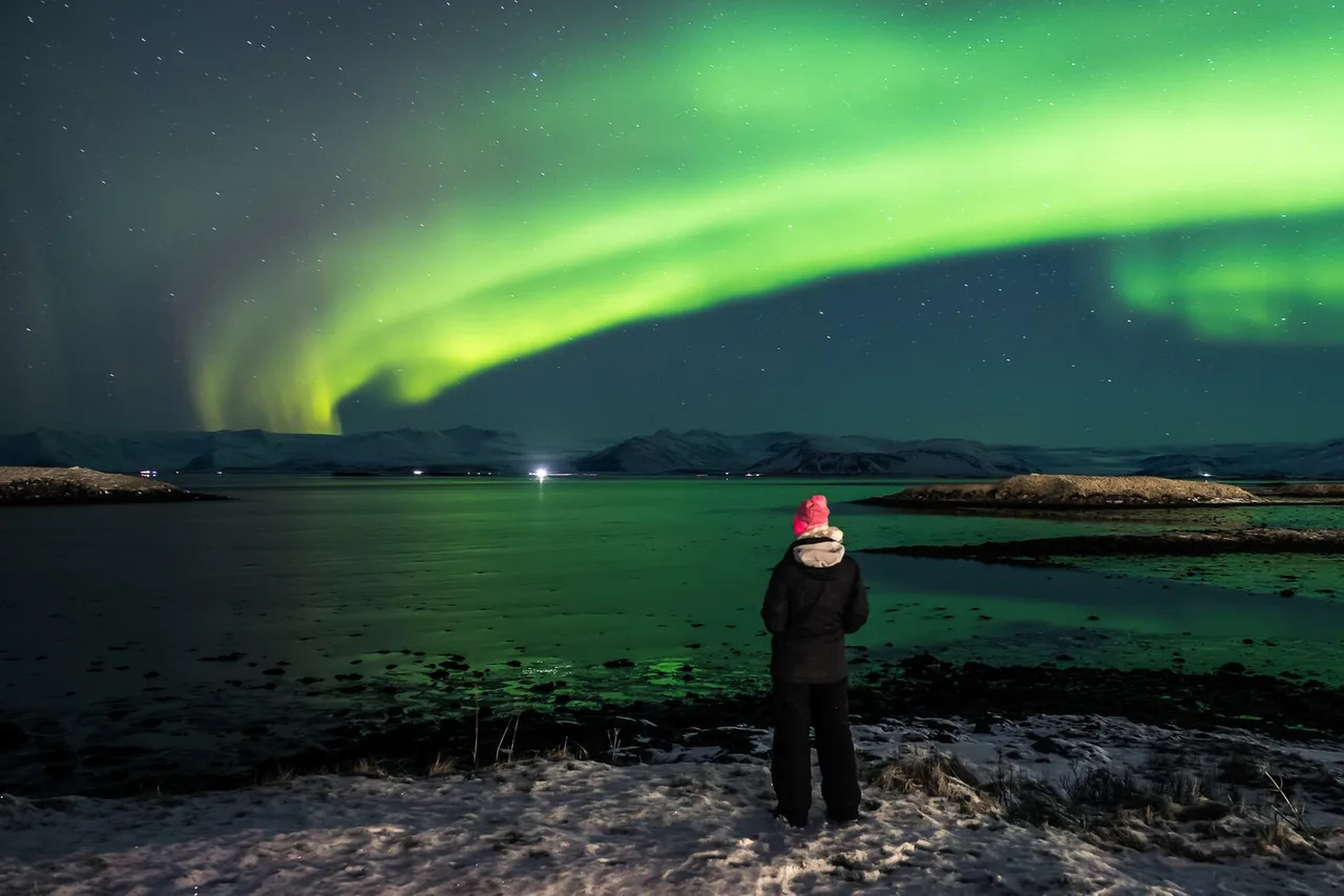 Persona sola in riva all’acqua osserva un’aurora verde sopra un fiordo islandese
