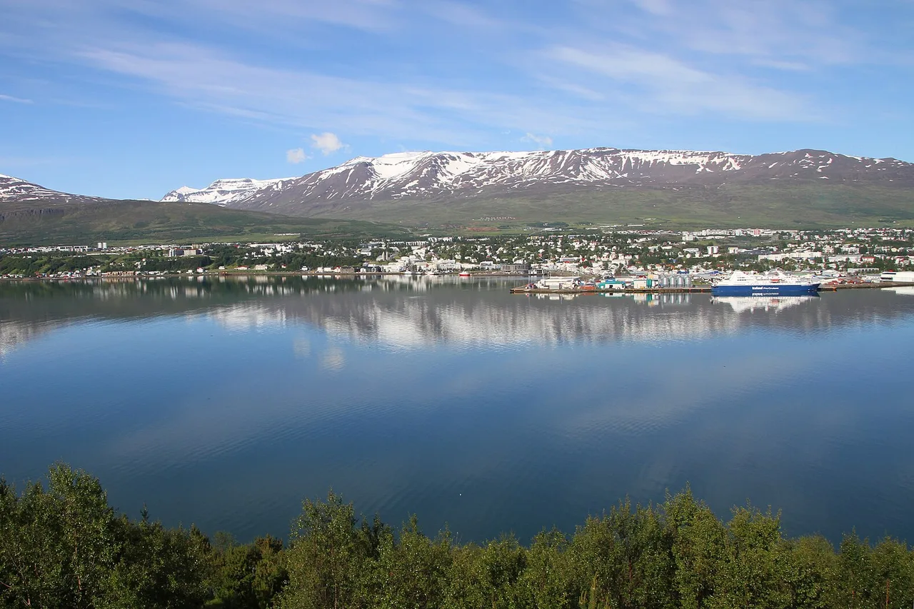 Vue sur le fjord Eyjafjörður et Akureyri : la ville sur la rive d’en face, derrière des montagnes aux dernières neiges, au premier plan des bouleaux et une eau calme.