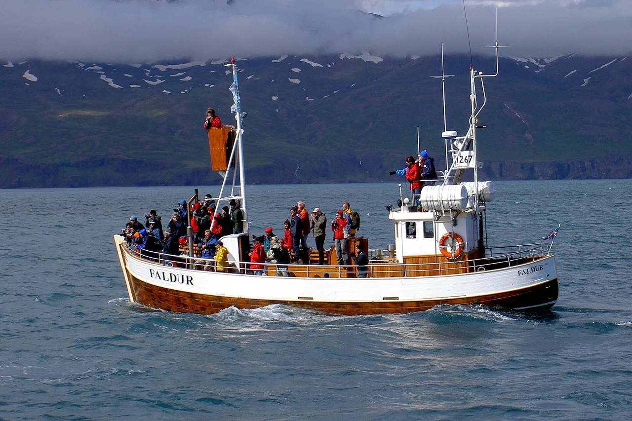 Ein hölzernes Ausflugsschiff mit Passagieren in roten Jacken an Deck fährt vor der Küste von Húsavík, dahinter Berge unter Wolken.