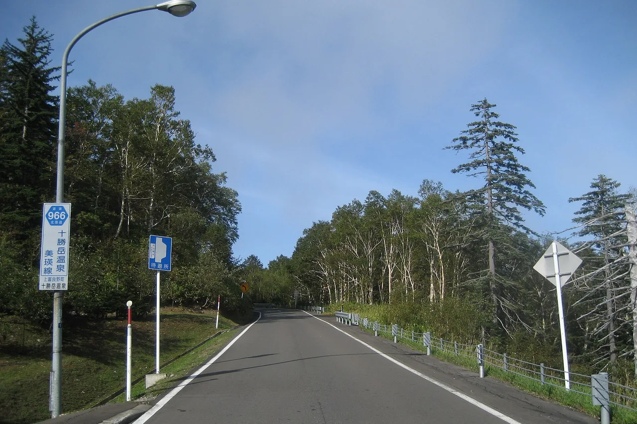 Una strada di campagna a Hokkaido tra betulle e conifere, con a sinistra un cartello con il numero 966 e il nome Tokachidake-Onsen–Biei