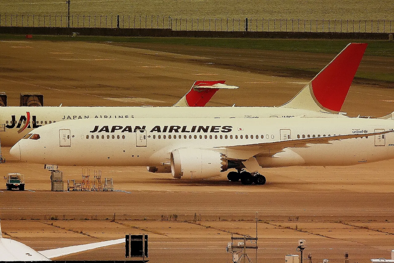 Eine Boeing 787 von Japan Airlines am Boden in Haneda, dahinter das rote Seitenleitwerk eines weiteren Flugzeugs