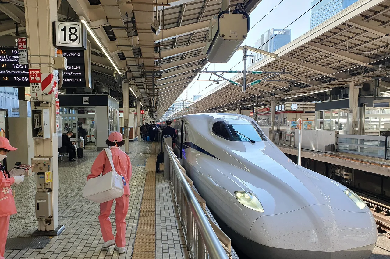 Uno Shinkansen bianco al binario della stazione di Tokyo, viaggiatori sulla banchina 18