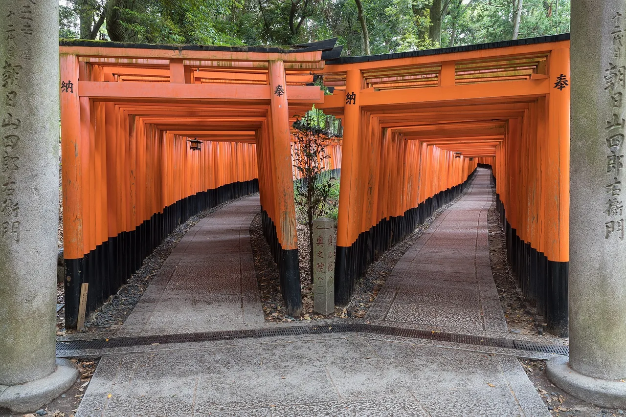 Doppio sentiero di torii vermigli al santuario Fushimi Inari Taisha, Kyoto, senza nessuno