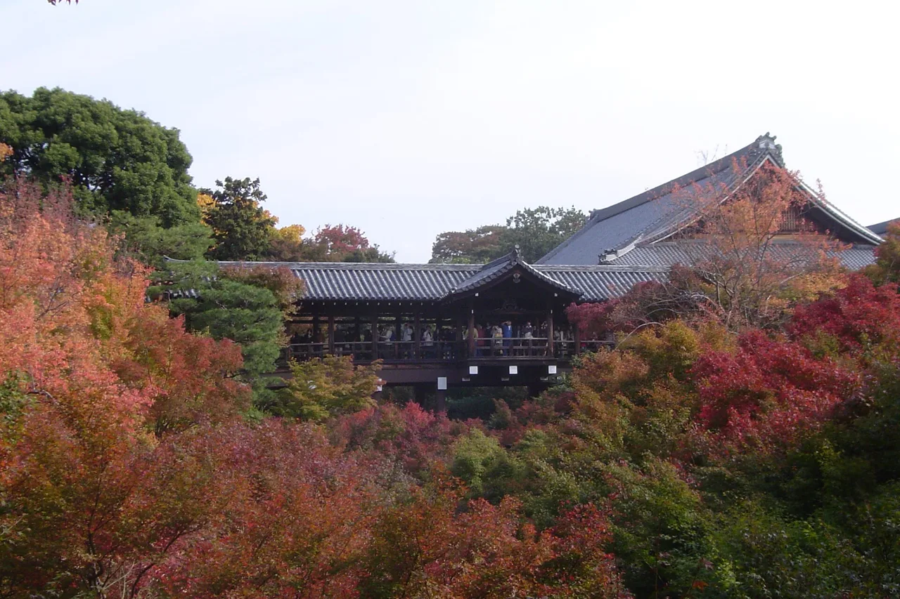 El puente Tsuten-kyo del templo Tofuku-ji rodeado de arces rojos en Kioto