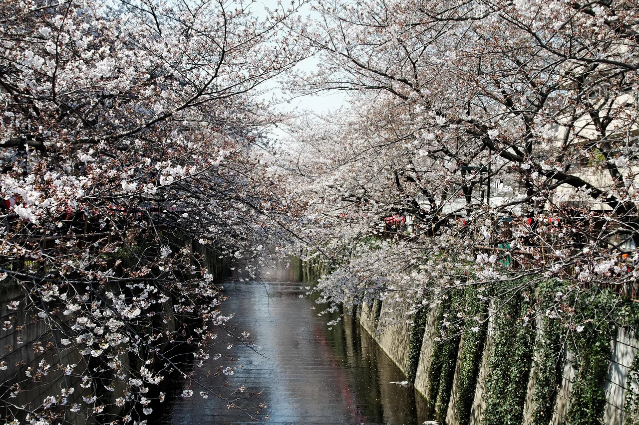Best Time to Visit Japan: the April Rule Has Aged