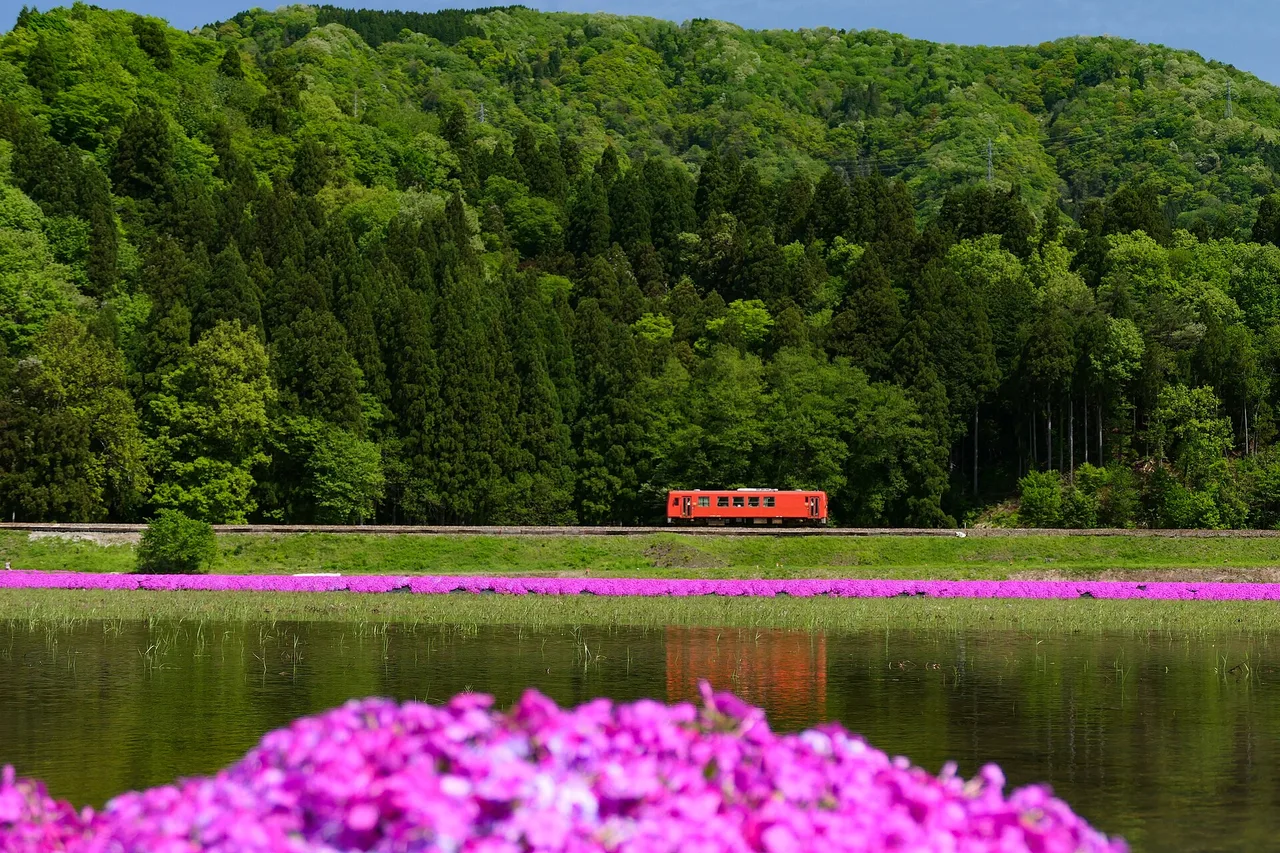 A single-carriage orange railcar running along a wooded hillside in the countryside