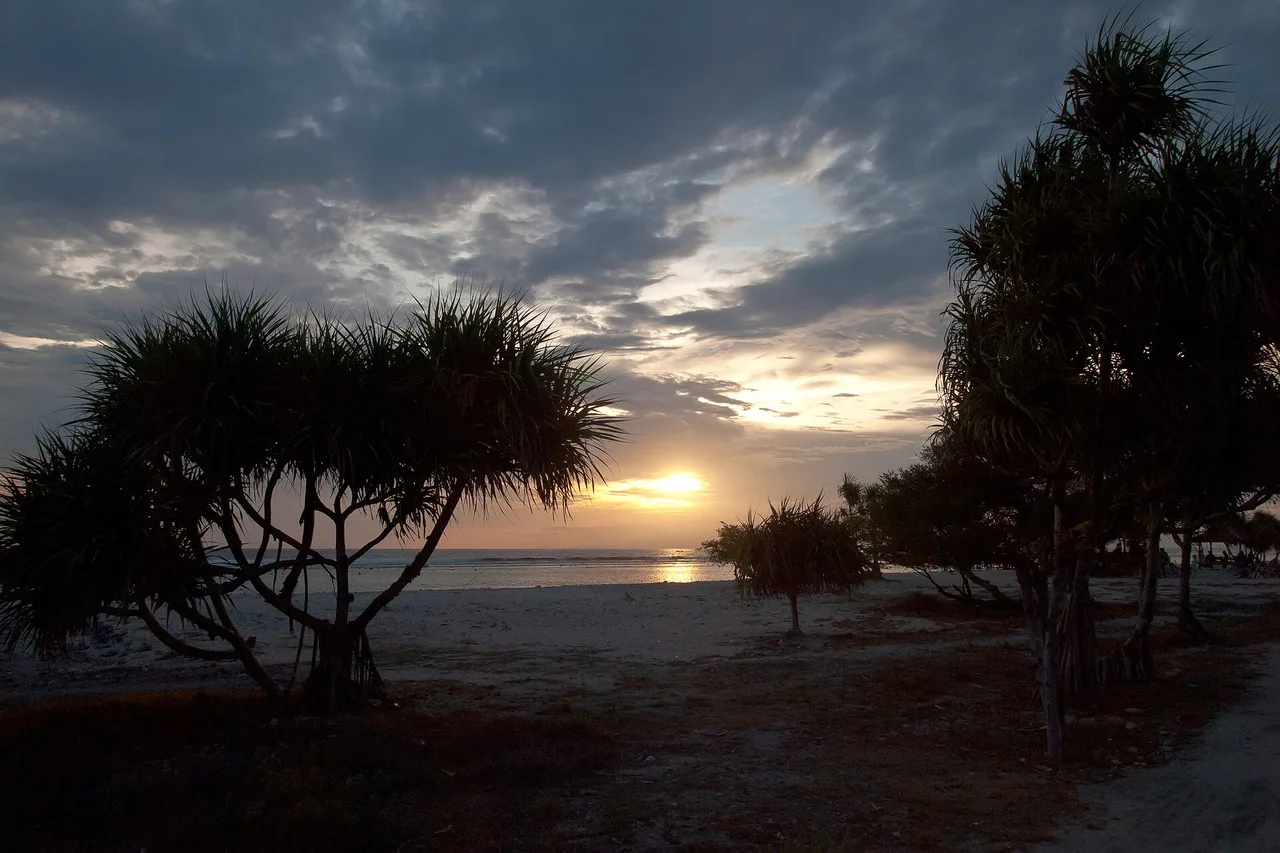 Sonnenuntergang an einem Gili-Strand, Pandanusbäume als Silhouette vor dem Meer