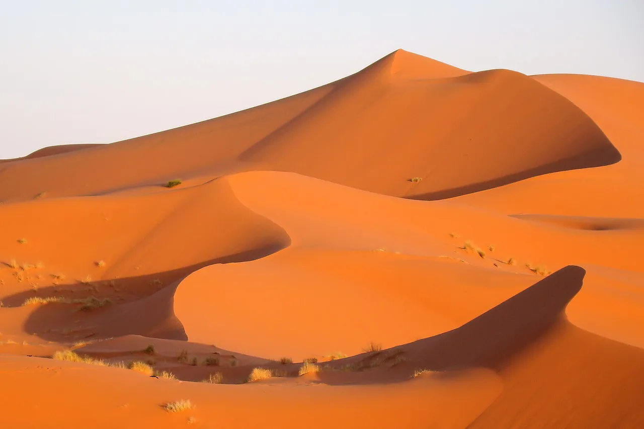 Las dunas esculpidas del erg Chebbi cerca de Merzouga, crestas anaranjadas y hondonadas en sombra