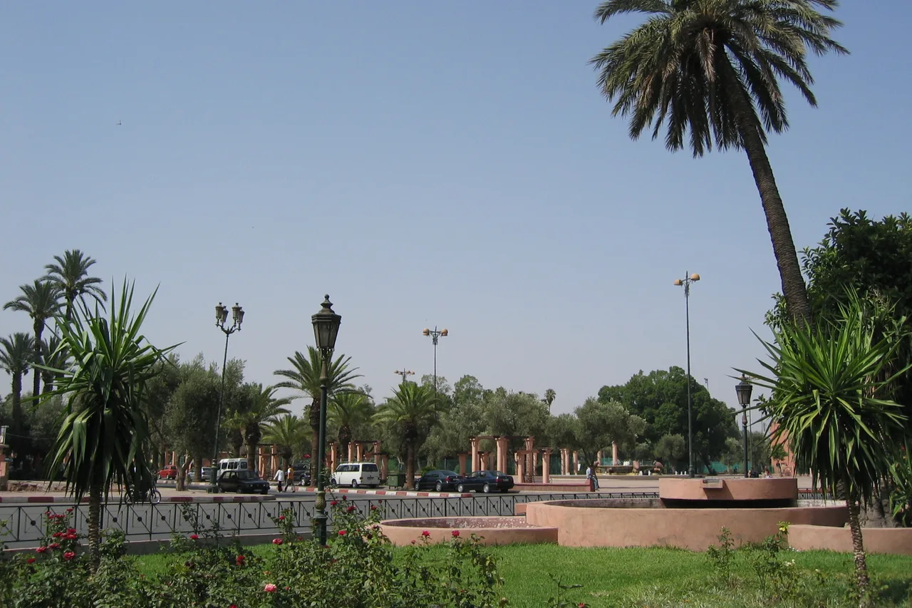 Un ancho bulevar bordeado de palmeras en el barrio de Guéliz de Marrakech, con coches y farolas