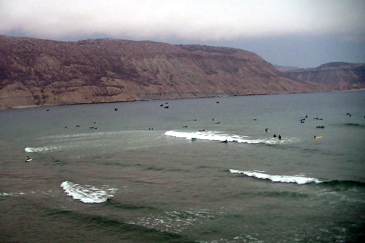 Imsouane bay seen from the cliff, with its long lines of swell and surfers scattered offshore