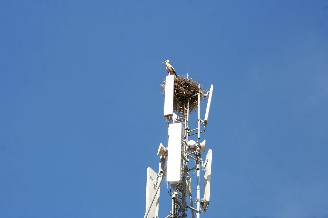 Torre de telefonía móvil en Marrakech con varias antenas blancas, coronada por un nido de cigüeña con un ave sobre un cielo azul intenso