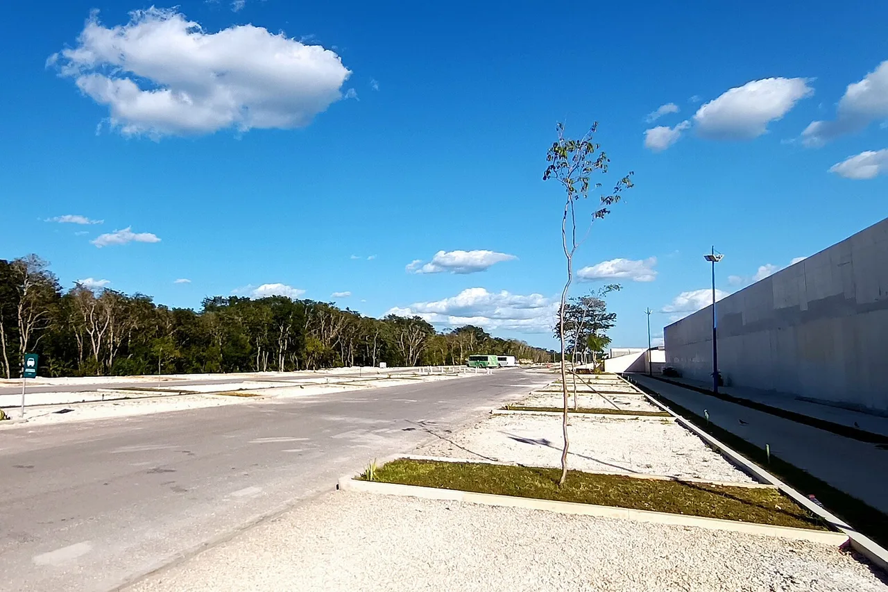 Un grande parcheggio vuoto con cordoli bianchi ai margini della foresta sotto un cielo azzurro, quello del Gran Museo de Chichén Itzá