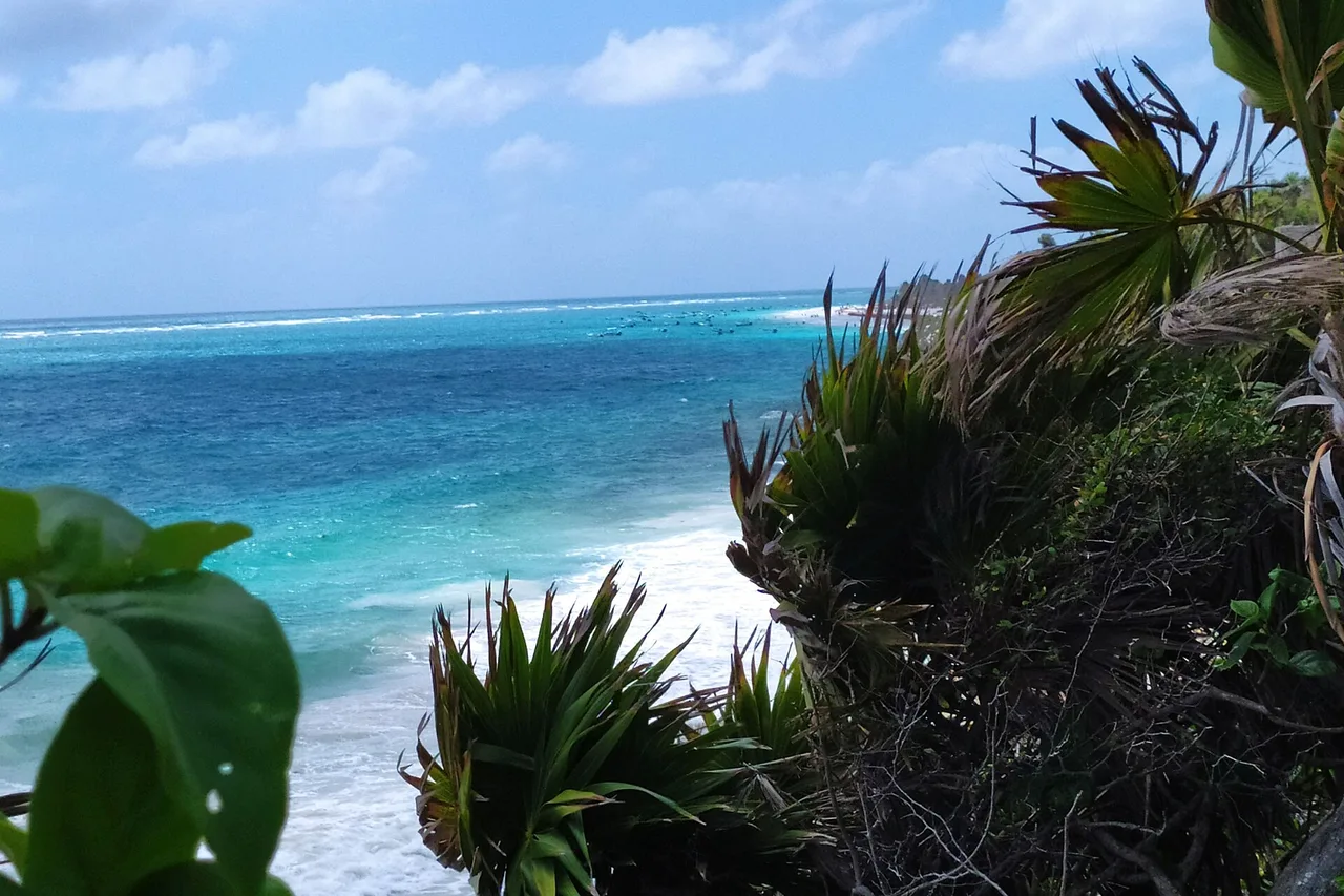 Türkisfarbenes Meer und Küstenvegetation bei Tulum