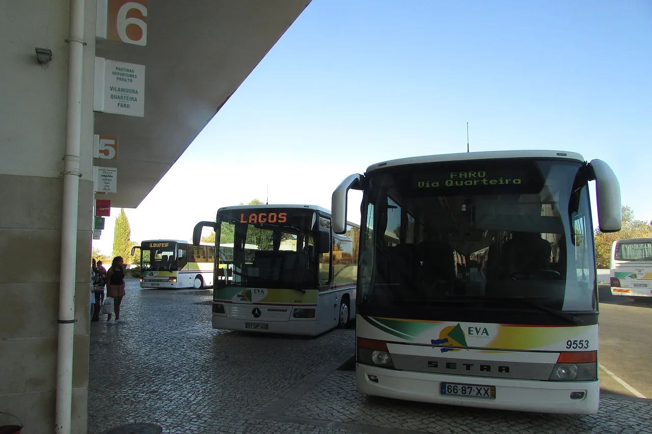 Zwei Reisebusse in den Farben von EVA am Busbahnhof von Albufeira, einer mit der Zielanzeige Lagos, der andere nach Faro über Quarteira