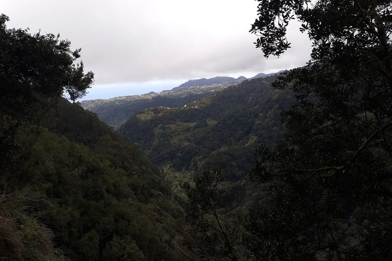 Vista dalla levada do Rei su una valle boscosa fino alle montagne di São Jorge