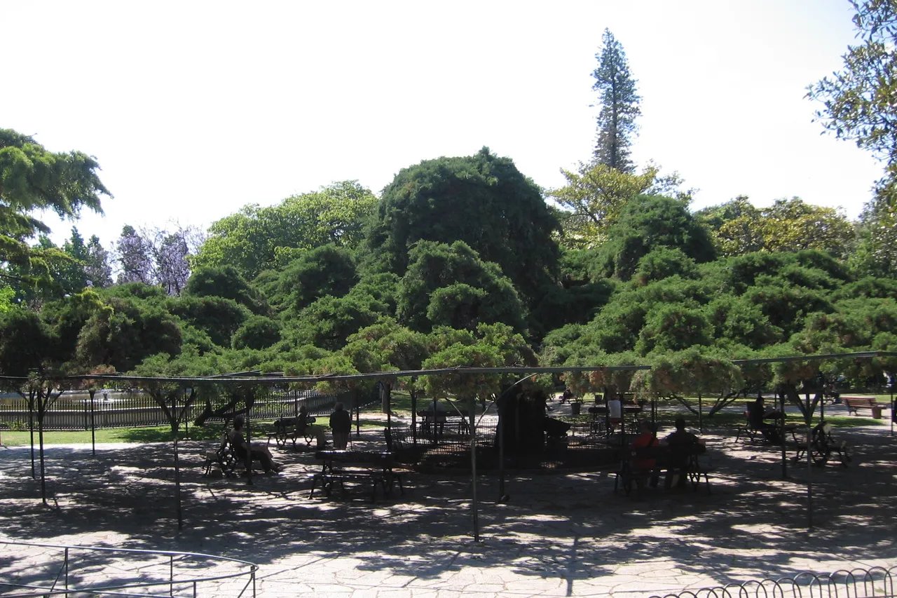 Der Garten Príncipe Real in Lissabon mit seiner großen, schirmförmig gezogenen Zeder