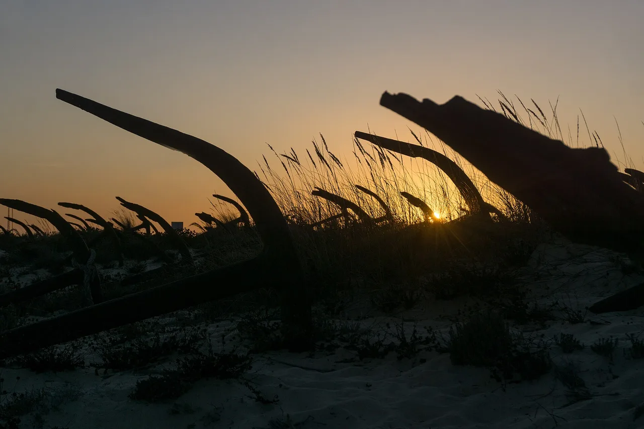 The rusted anchors of the cemitério das âncoras standing in the sand of Praia do Barril, backlit at dusk