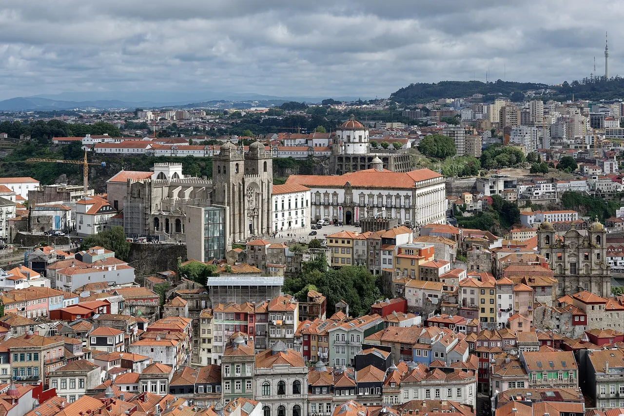 Los tejados de Oporto y la catedral vistos desde lo alto de la torre de los Clérigos