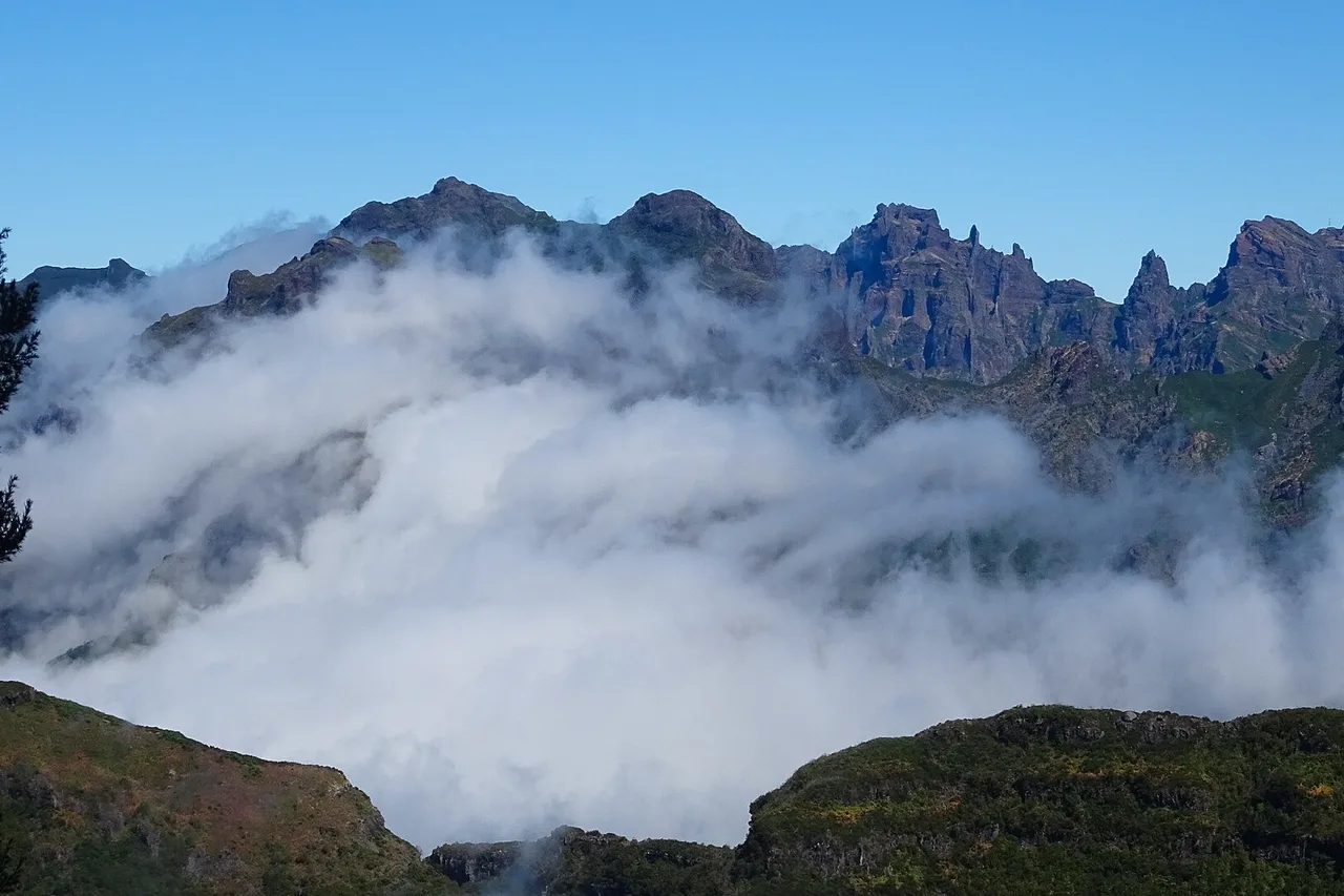 Quando andare a Madeira: clima mese per mese e microclimi