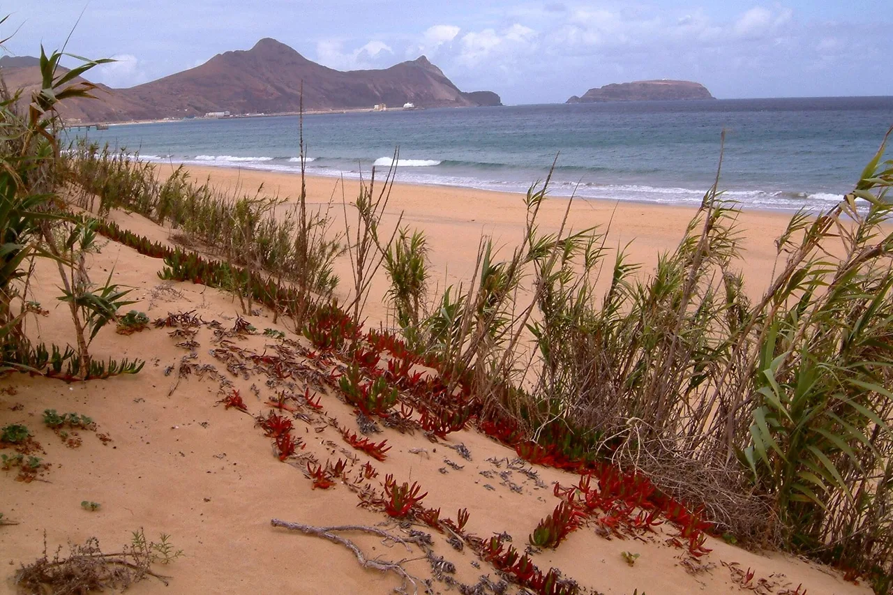 La lunga spiaggia di sabbia chiara di Porto Santo, con erba di duna e montagne sullo sfondo