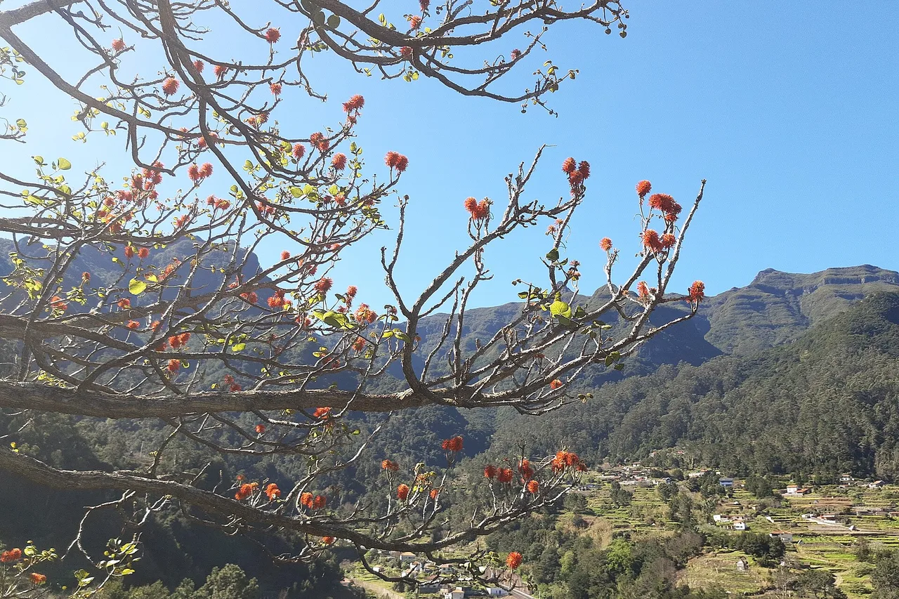 Vista sulle montagne del centro di Madeira dalla strada ER228 al passo di Encumeada