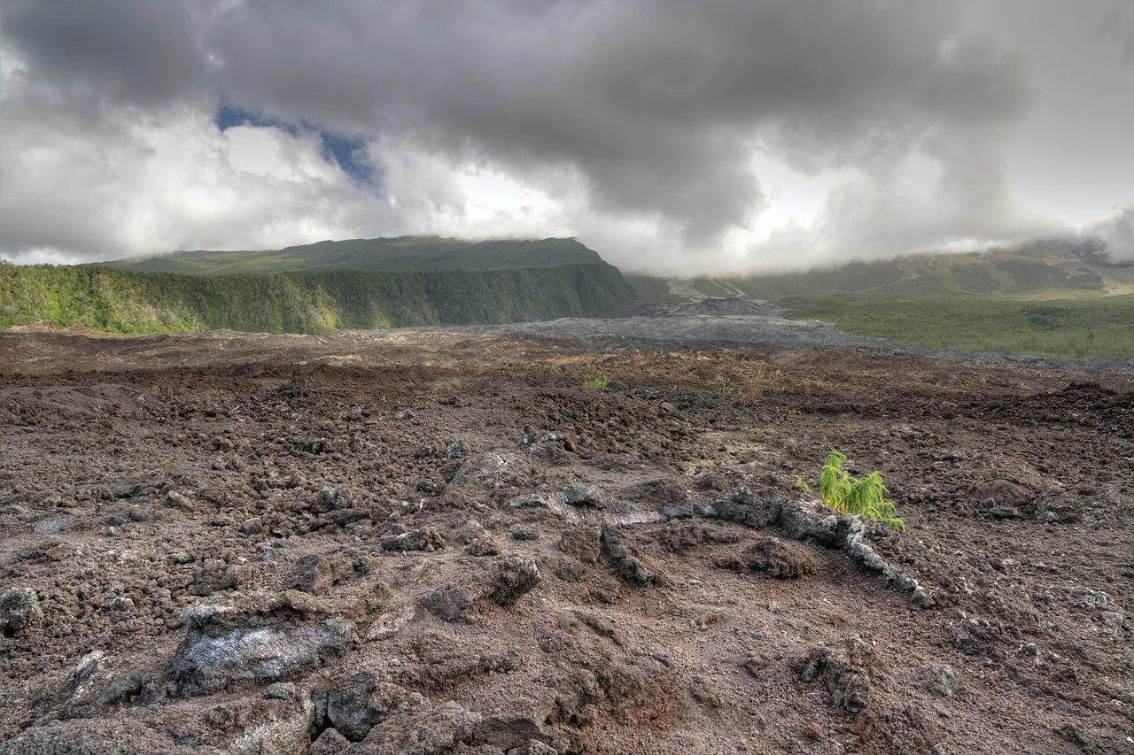 Lavafeld des Grand Brûlé zwischen grünen Steilwänden, an der Lavastraße im Wilden Süden von La Réunion