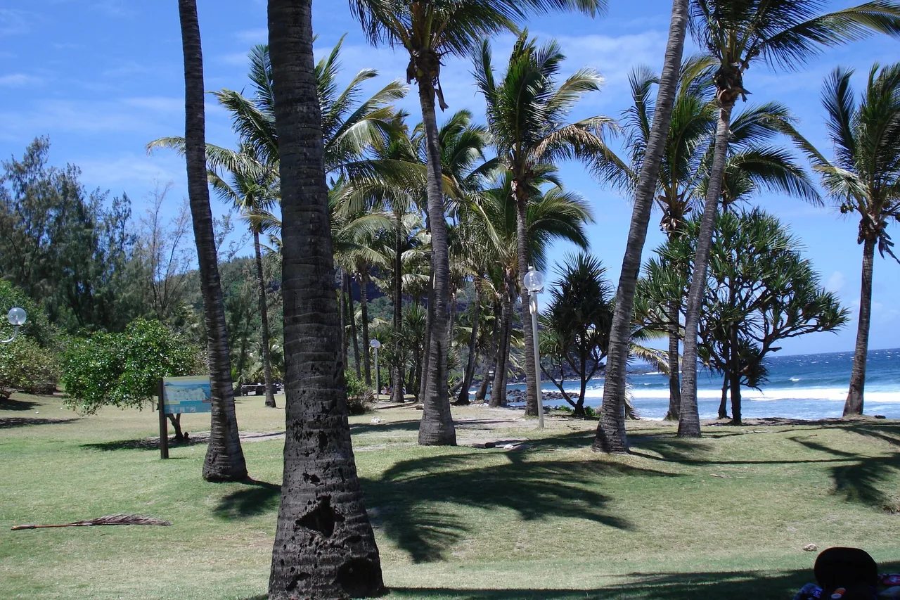 Der Kokoshain und Strand von Grande Anse mit kraftvollen Wellen, Petite-Île, La Réunion