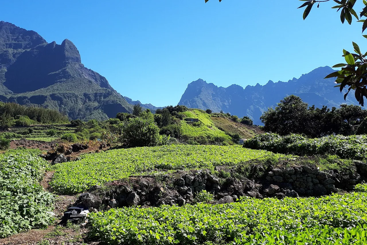 Parcelles cultivées d'Îlet à Cordes au pied des remparts du cirque de Cilaos, La Réunion