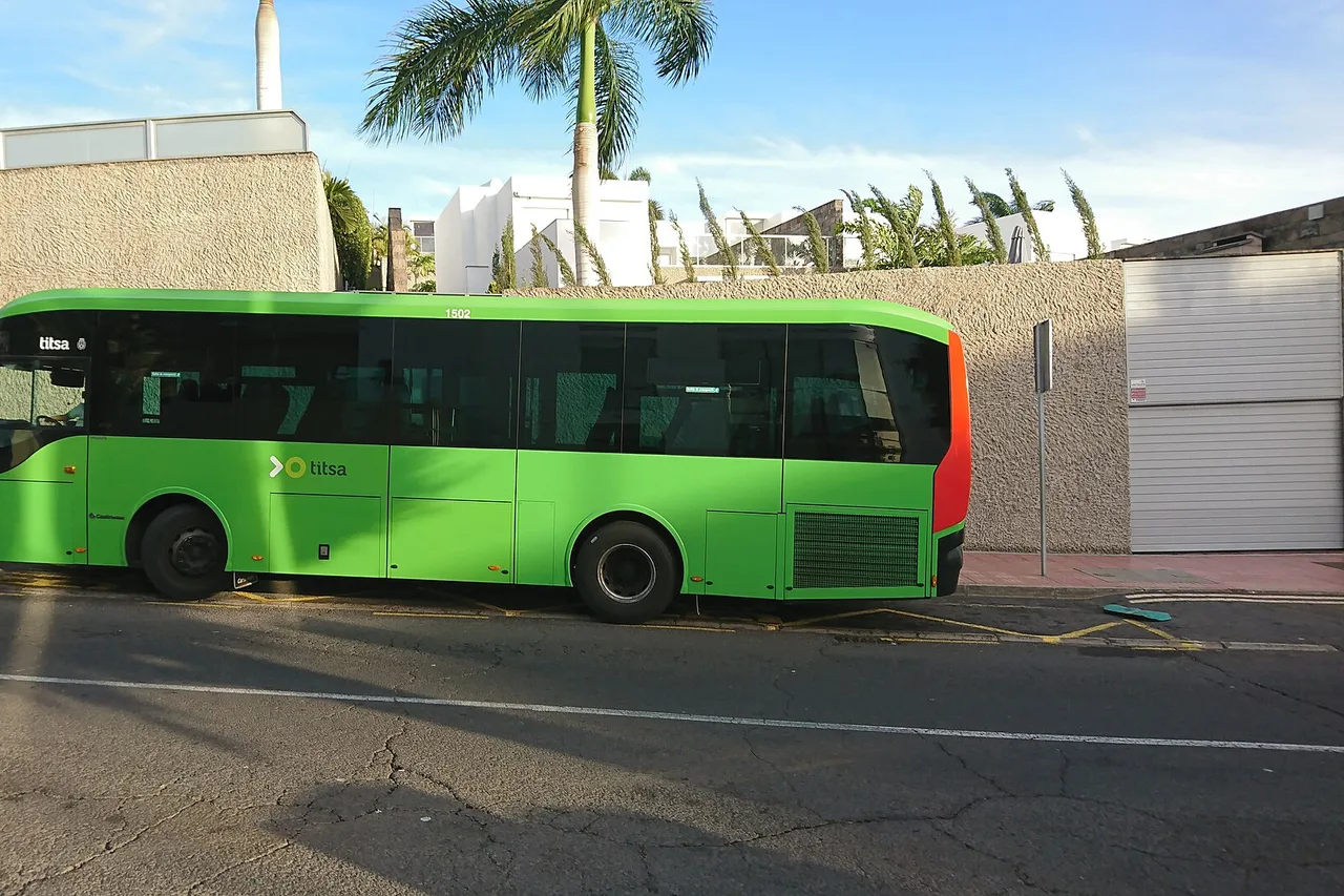 Grüner Titsa-Linienbus an einer Haltestelle in Costa Adeje, Teneriffa