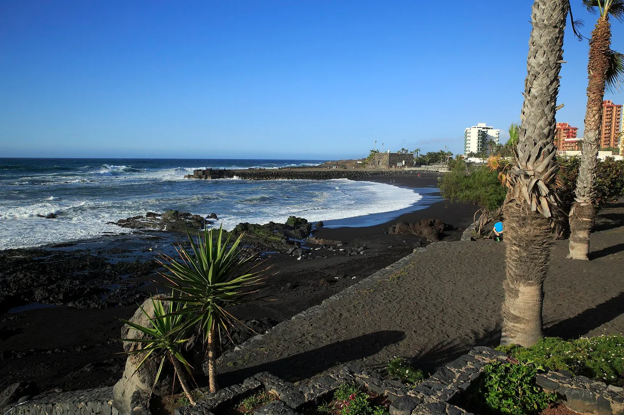 Der schwarze Sand und die Palmen der Playa Jardín in Puerto de la Cruz, Teneriffa