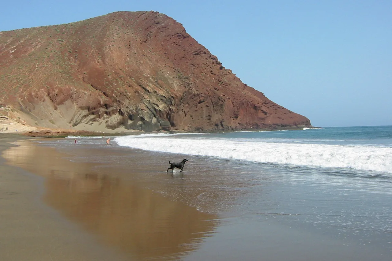 Der Strand La Tejita mit hellem Sand am Fuß der Montaña Roja, Teneriffa